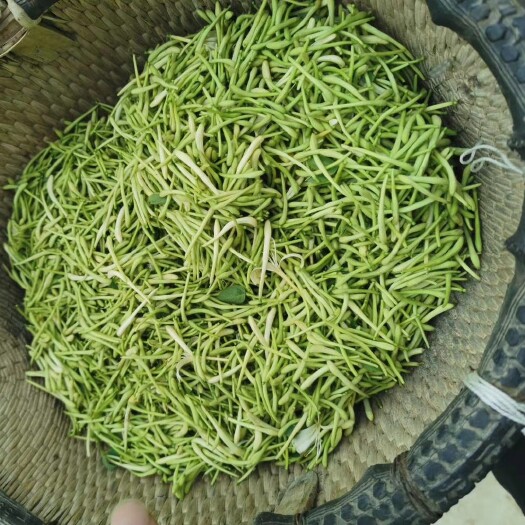  封丘金银花大量供应，电商拿货，可贴牌包装