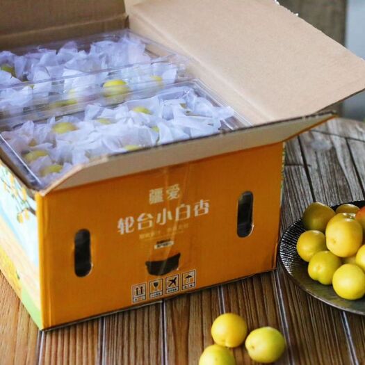 莎车县 新疆白杏子
