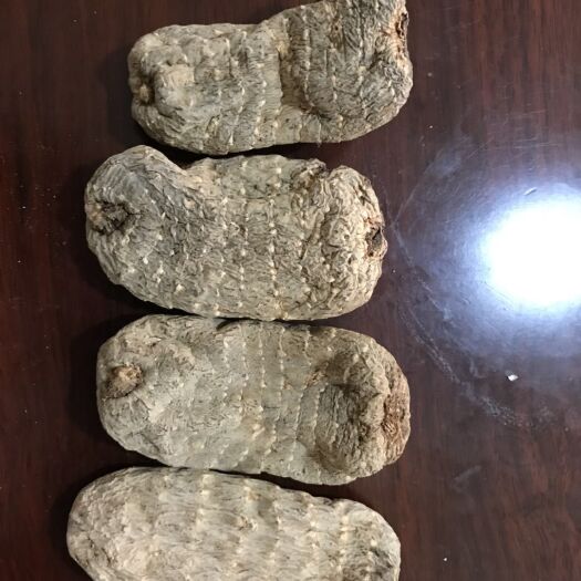 文山市 14个一公斤乌天麻