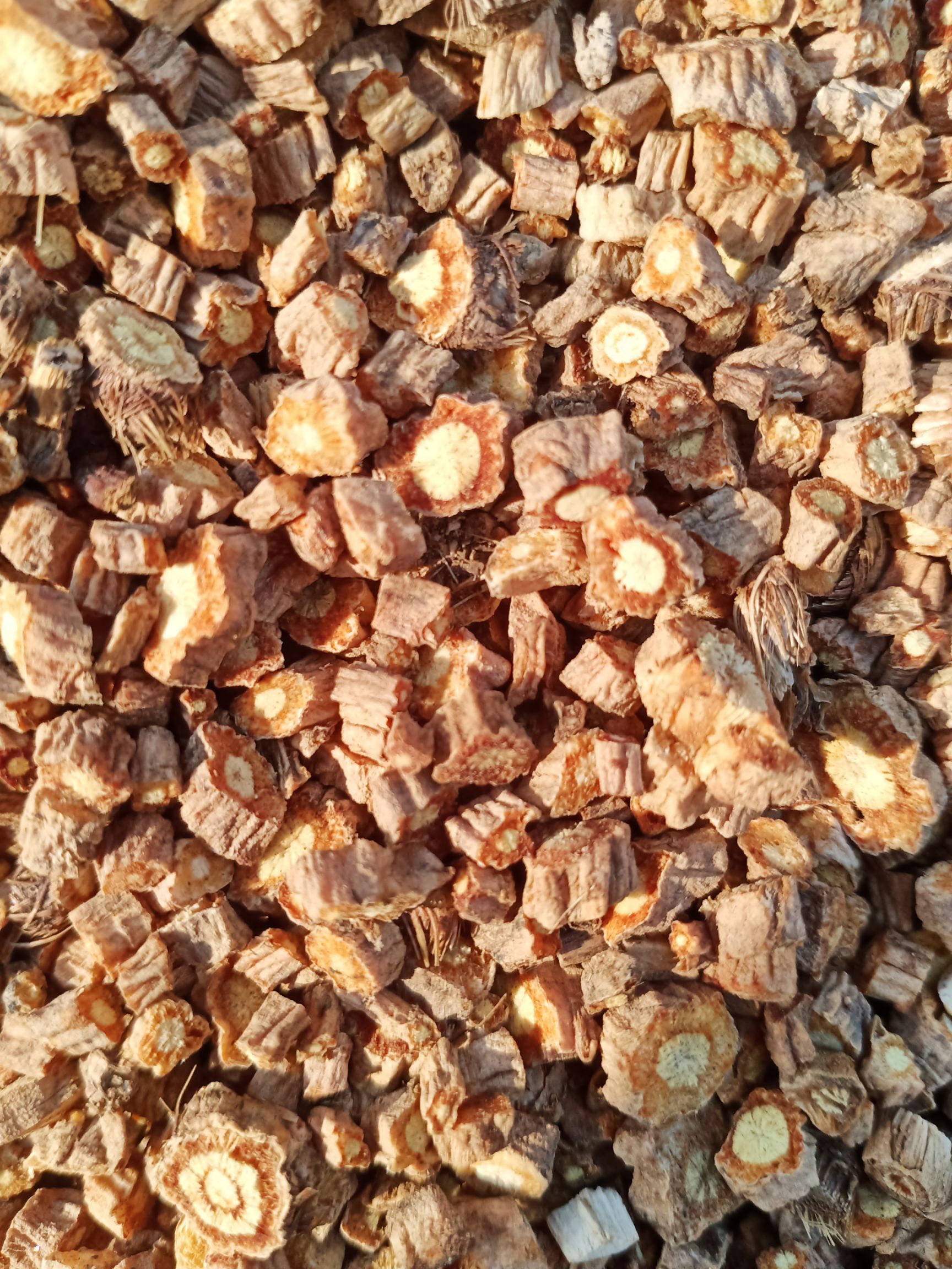  内蒙多年生家种防风含量0.68