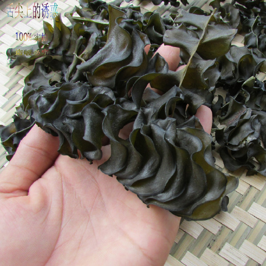 大连脱水裙带菜 厂家直供火锅食材，自热锅食材，海耳朵，海灵芝，裙带菜孢子叶