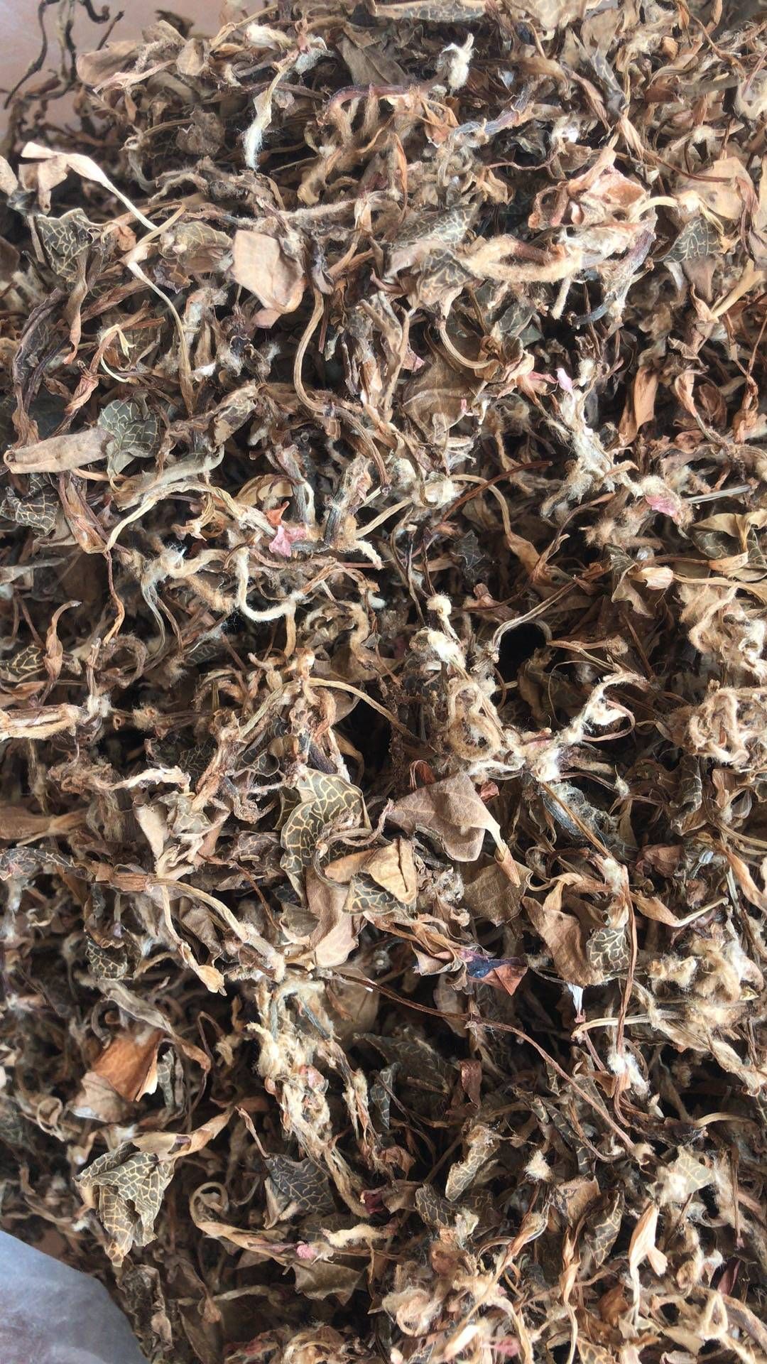 金线莲散货干品500克/件（散货，不是整株）
