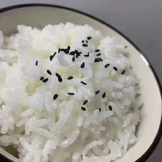 哈尔滨东北大米 一等品 一季稻 粳米