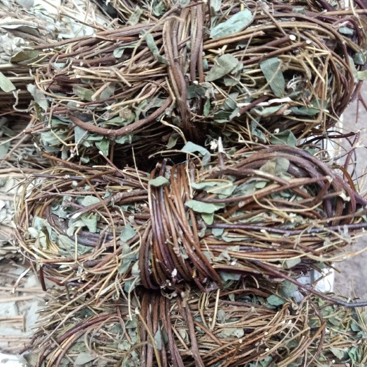 广州 鸡骨草