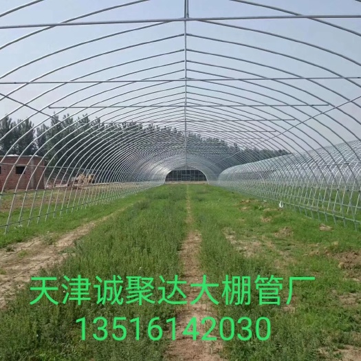 讷河市 大棚管