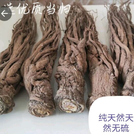 岷县 原产地甘肃岷县当归城品没有任何添加