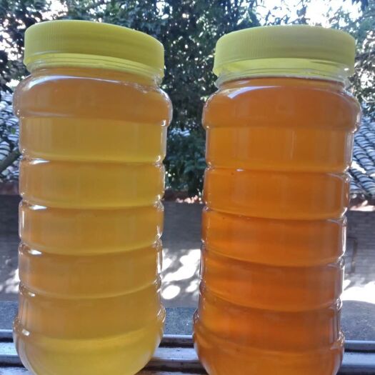 阆中市 自家蜜蜂采集的纯蜂蜜