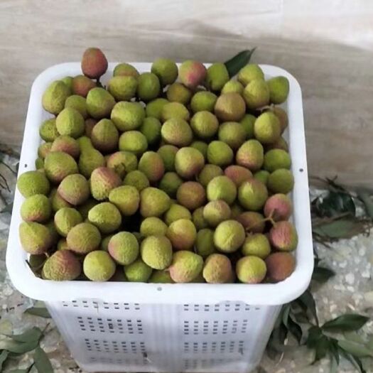 高州市 一骑红尘妃子笑，妃子笑荔枝