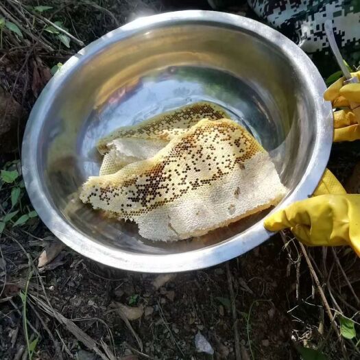昆明 深山蜂蜜