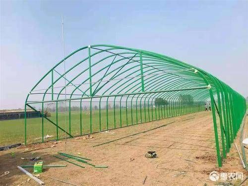 天津热镀锌管 蔬菜大棚 钢管骨架 官方推荐 种植大棚 养殖大棚 配件齐全