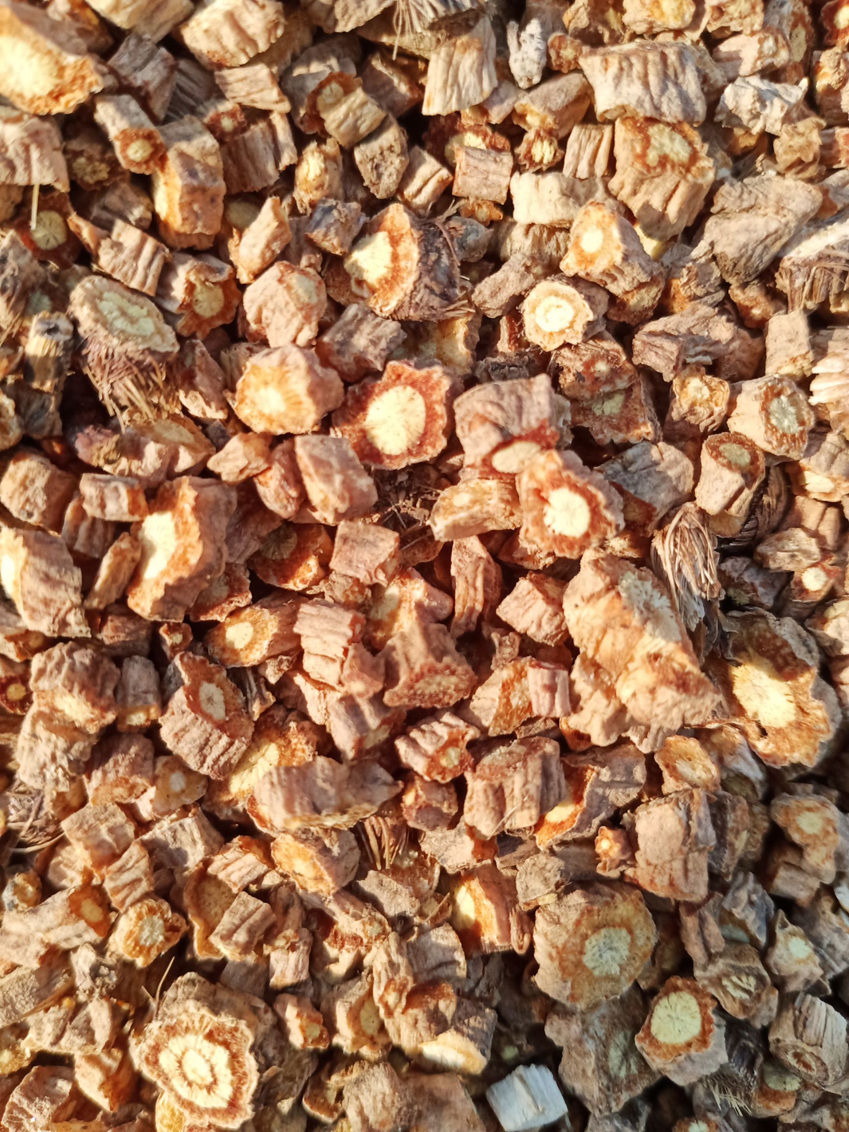  内蒙多年生家种防风含量0.68