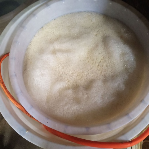 重庆市豆筋豆棒 纯手工制作豆棒，绿色食品，爆炒,凉拌,炖煮，口味