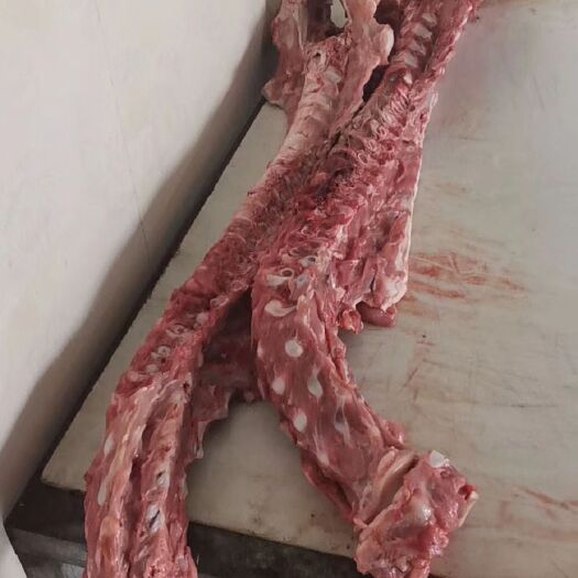 阳信县厂家直销带肉乳牛脊骨