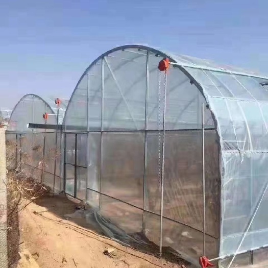 东光县蔬菜大棚 都能用它
