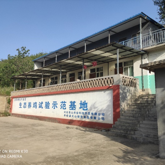 井陉县农场 出租自家养鸡蓬  设备齐全