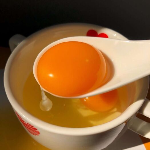 文水县 初生蛋