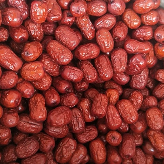 灰枣 6-12个月