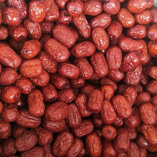 灰枣 6-12个月