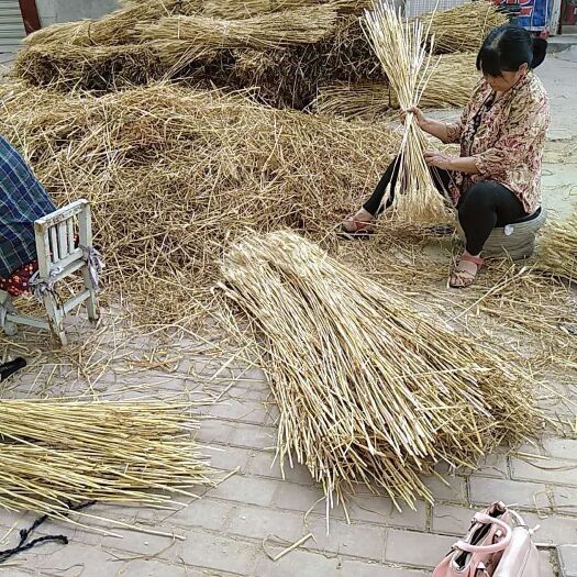 清丰县 河南麦秸秆小麦秸秆