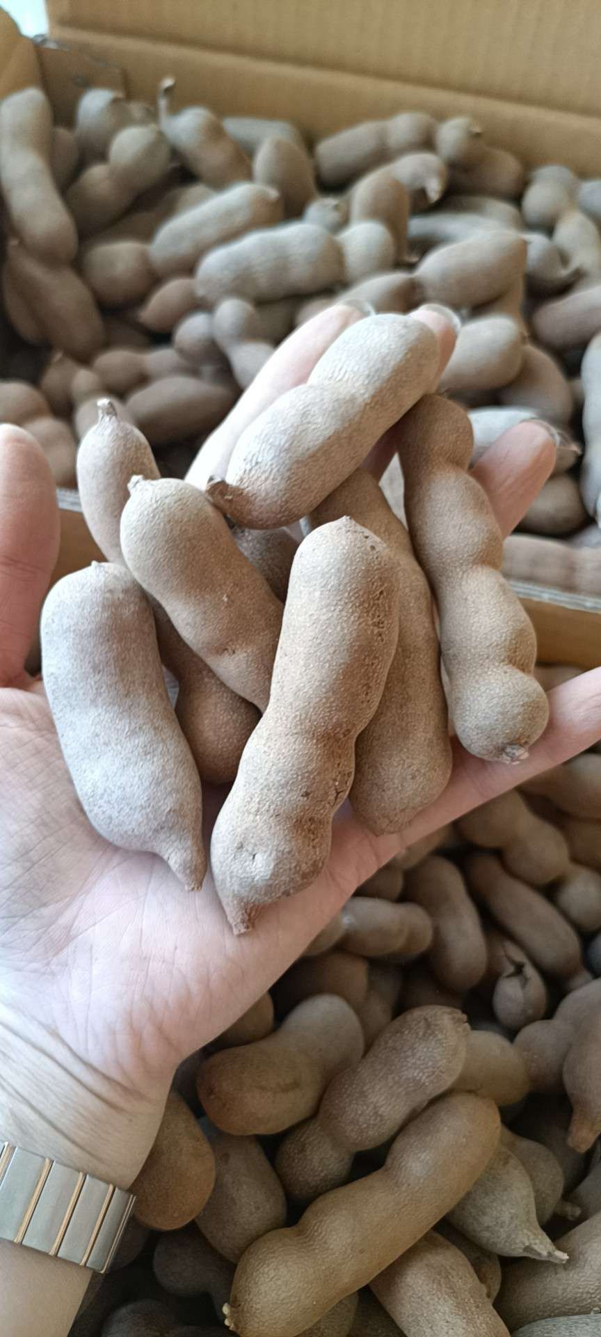酸角干  【包售后包邮】 泰国酸甜角，酸酸甜甜适中可泡可现吃