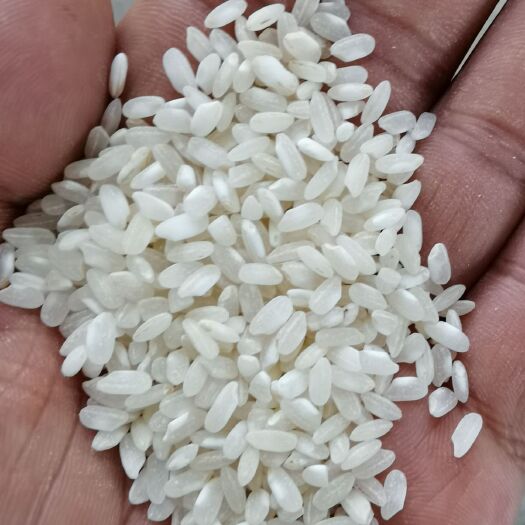 长沙湘早籼46号 2O17纯圆早米，质量好，价格优
