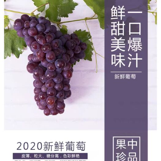 威县 巨峰葡萄即将上市，河北省威县大量葡萄寻找收购商