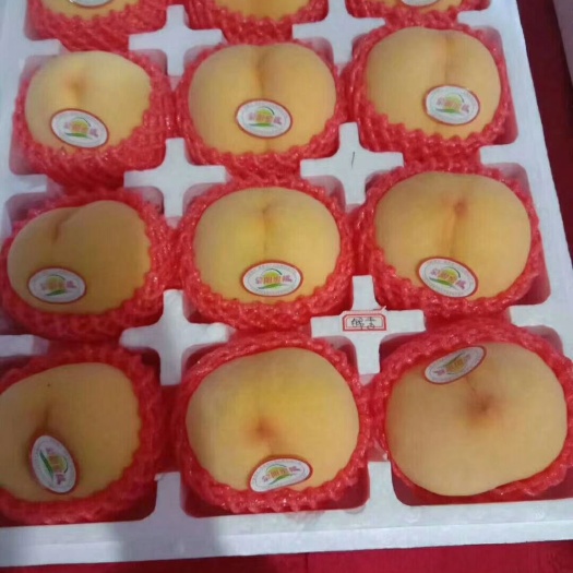 蒙阴县 蒙阴黄桃，套袋，一件代发