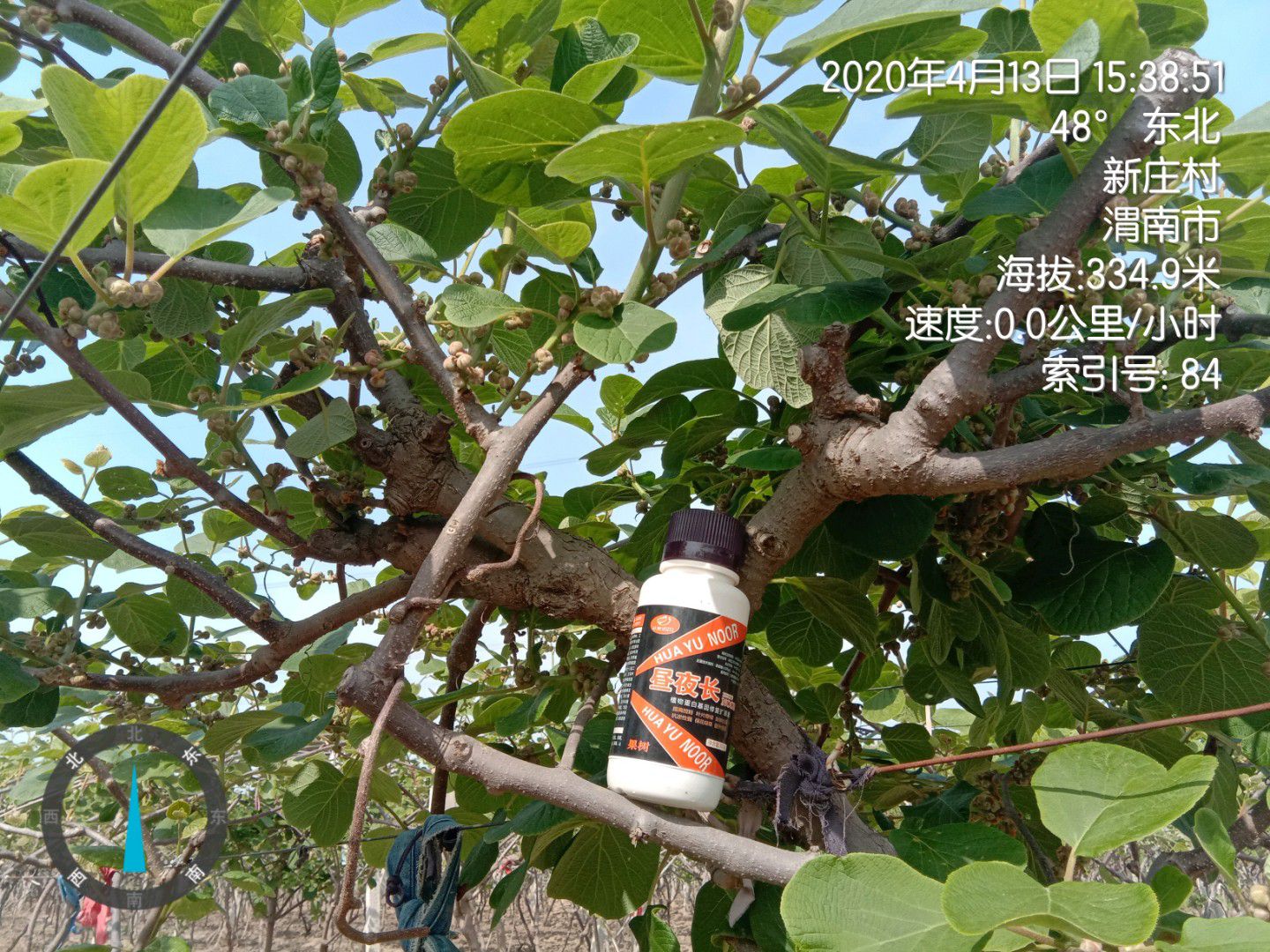  叶面肥果树专用保花保果 膨大着色 增产增收提前上市厂家直销