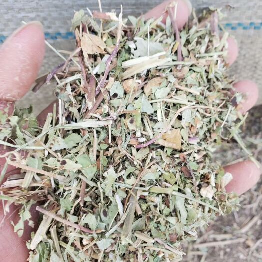 正阳县河南明杰牧业有限公司常年出售花生秧草 花生秧颗粒全价料