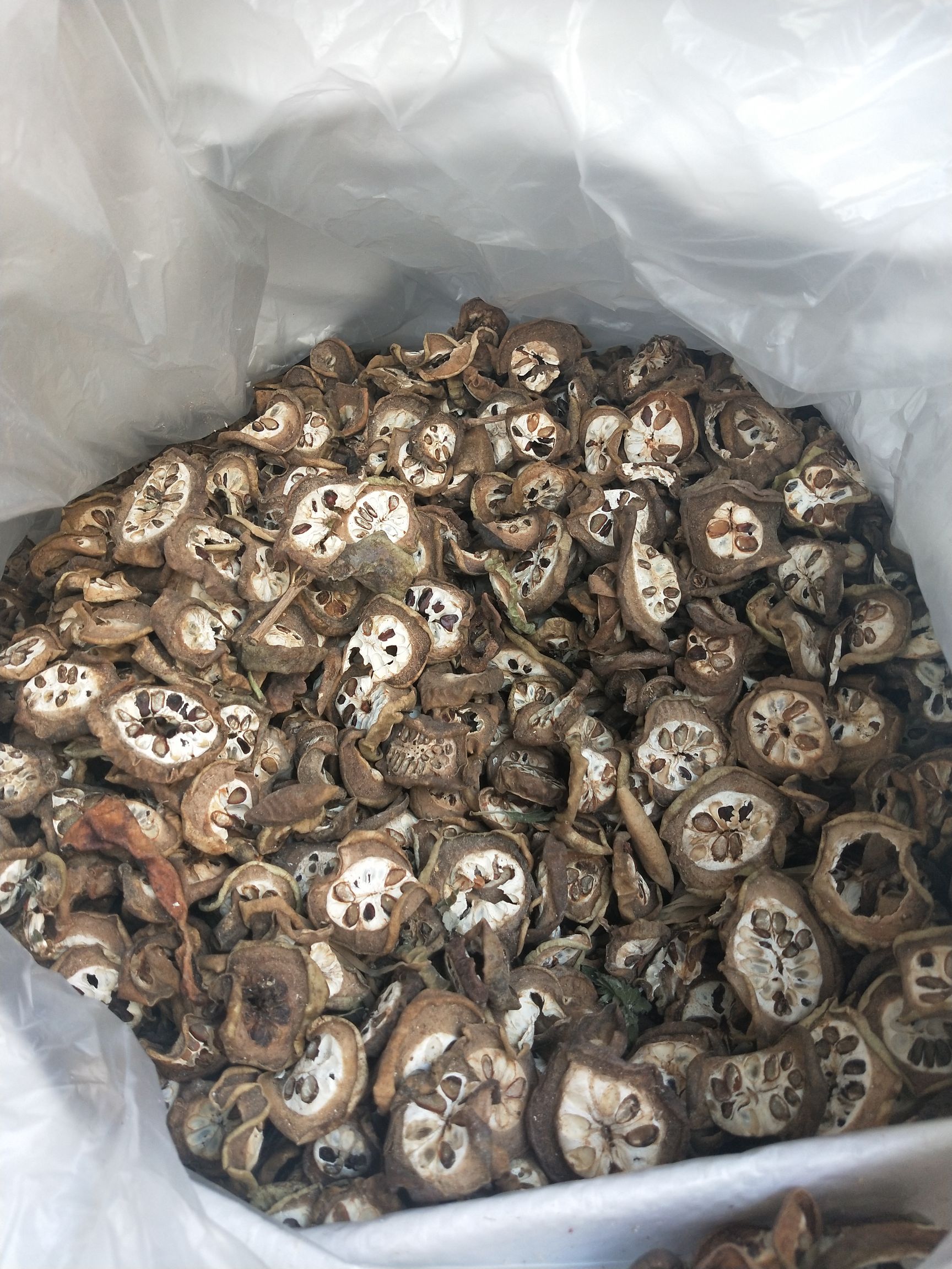 木通果干   别名无硫干货八月扎八月瓜片量大从优