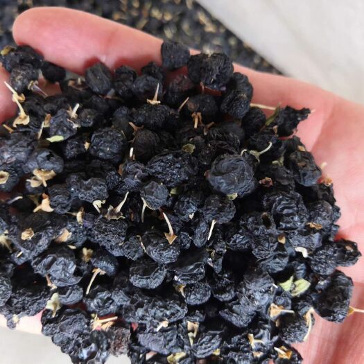 黑枸杞，原产地优质大粒果，道地珍品