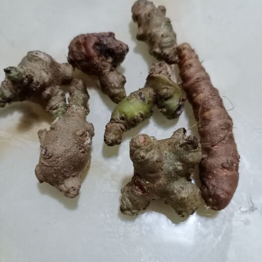 垫江藤三七 重庆滕三七