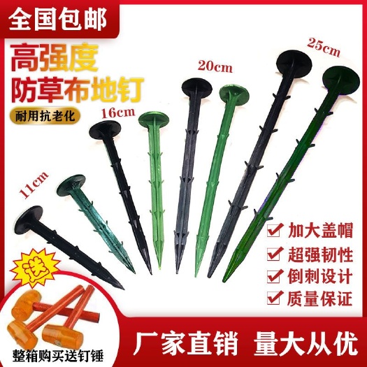 无棣县 防草布地钉塑料地钉厂家直销