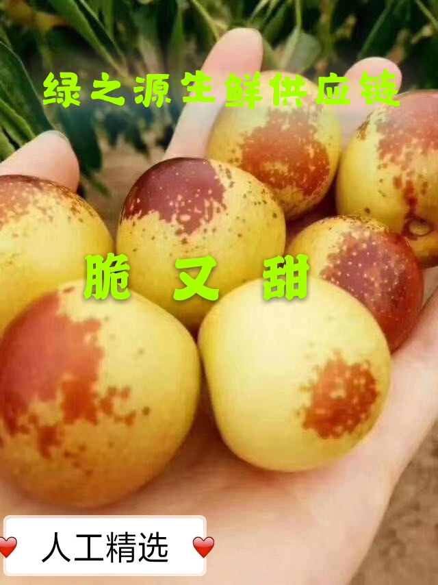 大棚冬枣基地现摘现发3斤5斤装一件代发快递包邮