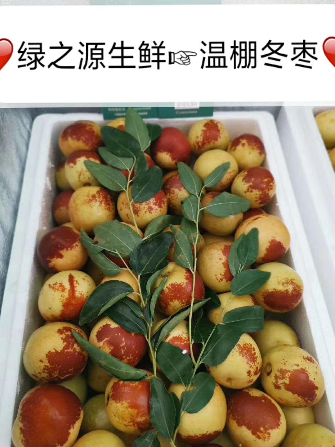 大棚冬枣基地现摘现发3斤5斤装一件代发快递包邮