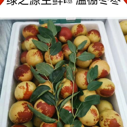 临猗县大棚冬枣基地现摘现发3斤5斤装一件代发快递包邮