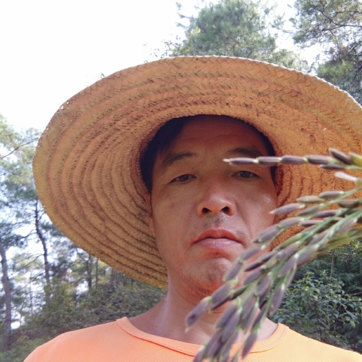 桂林普通紫米 保质保量，决无陈米，接单即碾，现碾现卖，两天内发货。