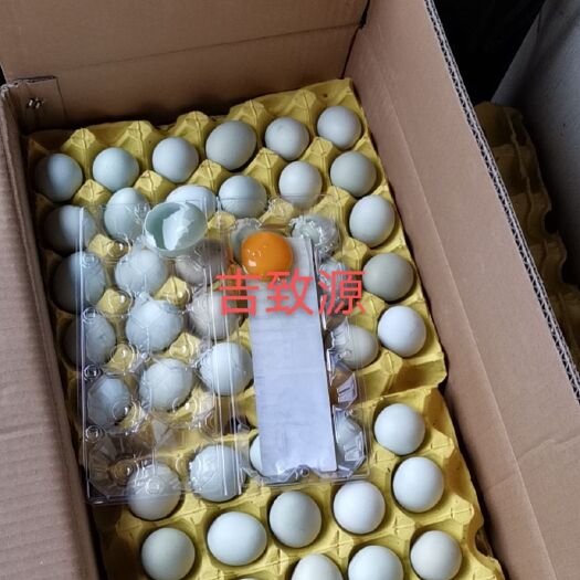 长沙县土鸡蛋  480枚毛重47-48斤绿壳蛋