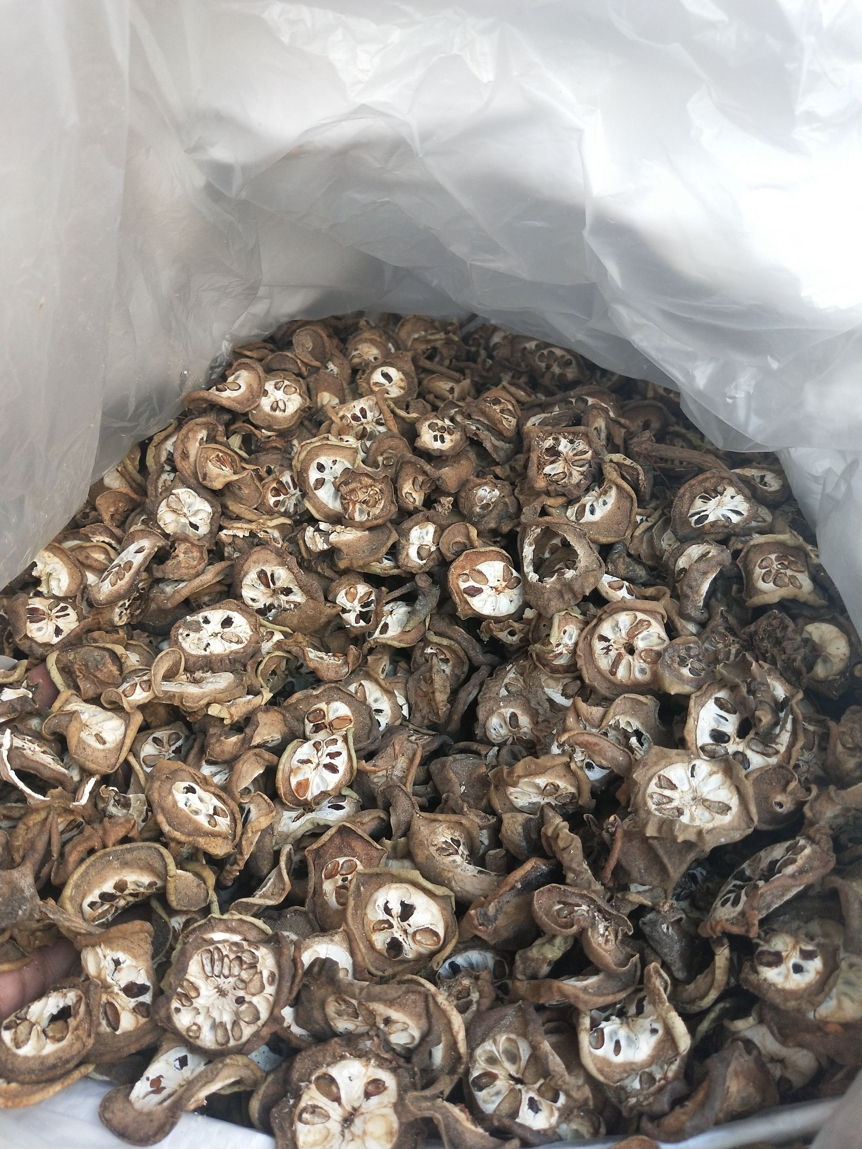 木通果干   别名无硫干货八月扎八月瓜片量大从优