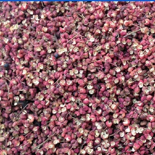 红花椒  茂汶特级花椒  今年新货
