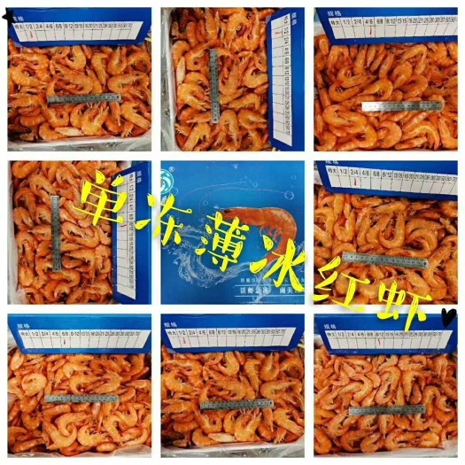 南充红虾    通货10斤/件