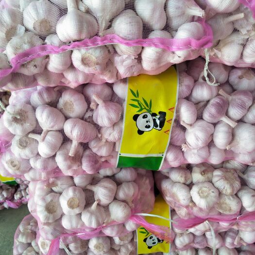 中牟县邳州大蒜 邳州新蒜