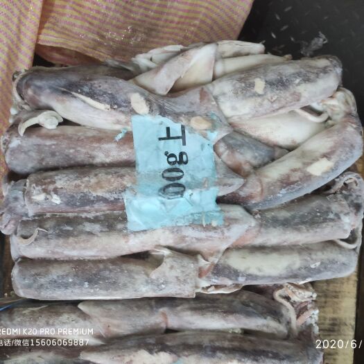 福州阿根廷鱿鱼