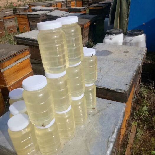 大荔县槐花蜜 洋槐蜜