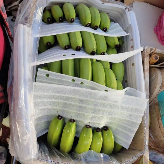 徐闻县巴西香蕉 徐闻精品货