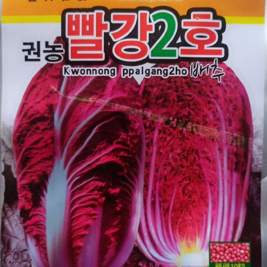 瓦房店市大白菜种子  【精品】韩国紫白菜种子