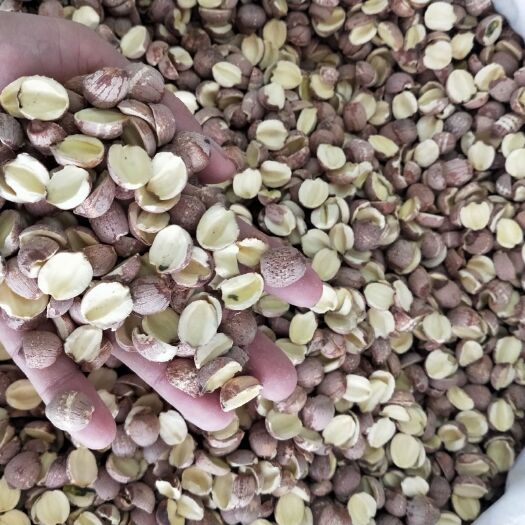 优质开边红连剖片红莲子磨红莲子量大从优