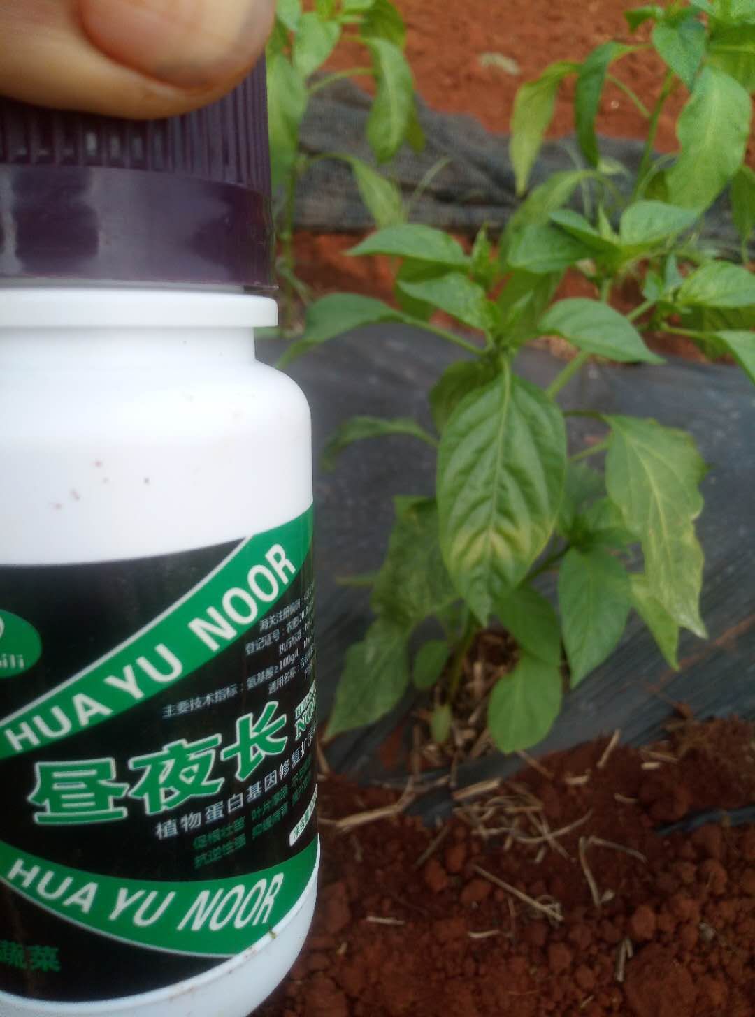  叶面肥果树专用保花保果 膨大着色 增产增收提前上市厂家直销