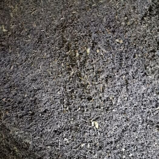 咸丰县眉茶 我现在做的炒青