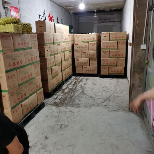 台州 主营浙江台州的鸡蛋批发